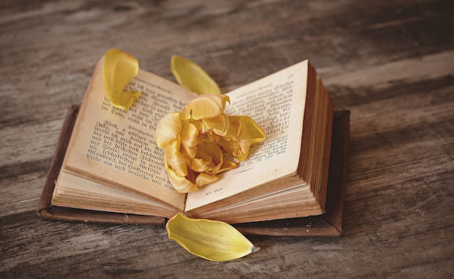 <h1>Sharing information is what we do.</h1><p>If you find something we don't have, please share with us.</p>
						<p><a class='btn-small' href='histories/story1.php'>Stories</a></p>